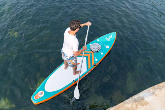 Tuxedo sailor paddle board fins in Europe